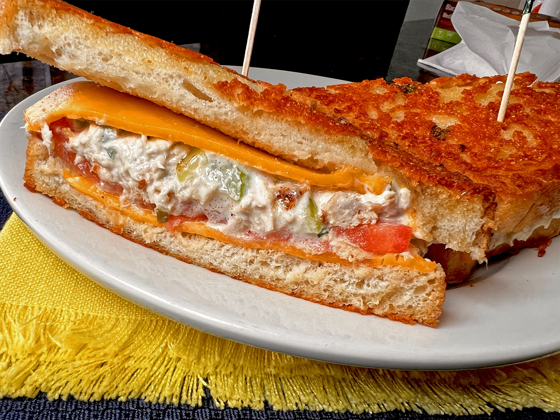 Tuna Melt Grilled SandwitchWithPotatoes Closeup