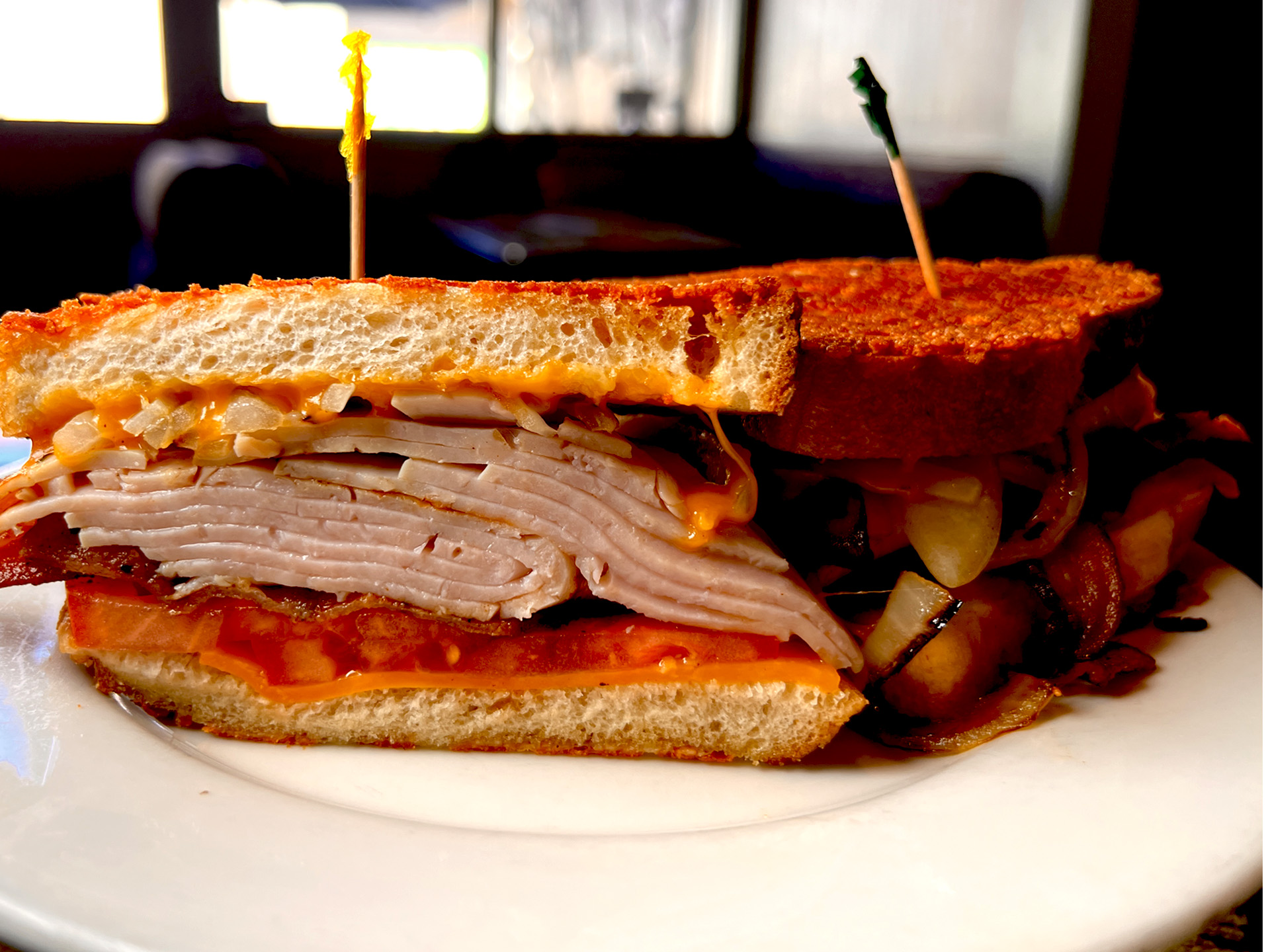 Turkey Grilled Cheese Sandwitch Closeup